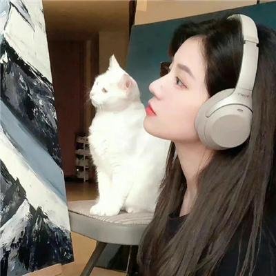 远山的红叶